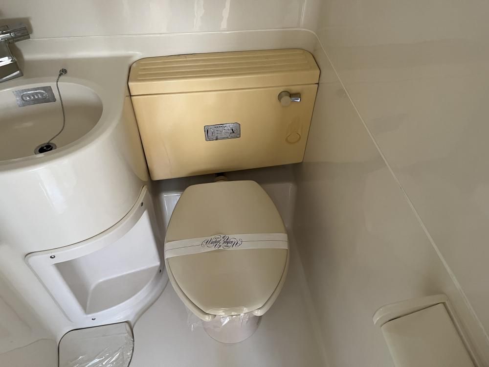 �y�g�C���z�@